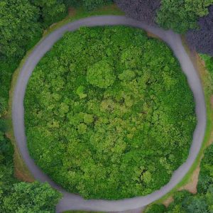 Circular and Green Economy Circular and Green Economy